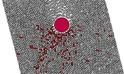 A heavy sphere sedimenting through a sheared suspension creates compressive chains beneath it